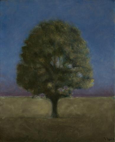 Arbre 3 41 x 33 cm