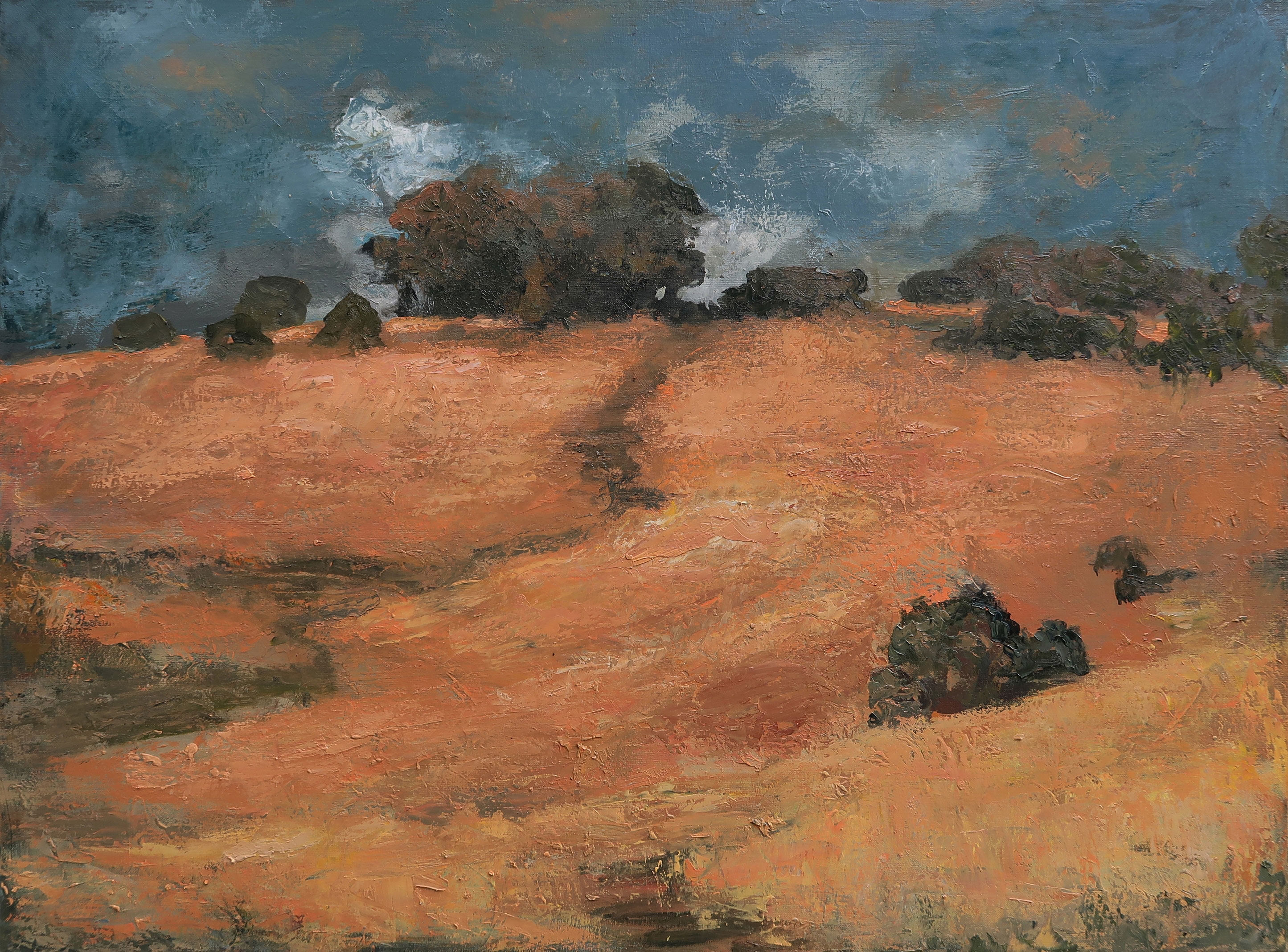 Arroyo seco (97x130cm)