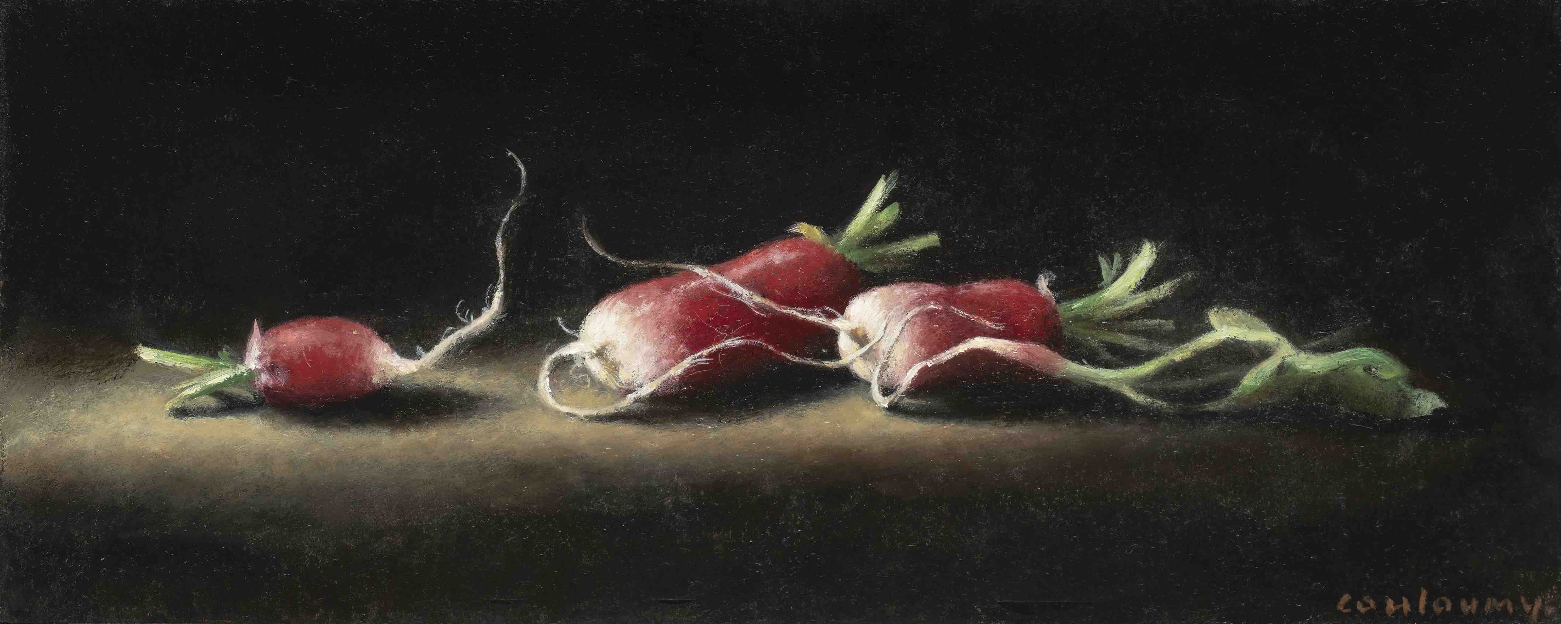 2023 COULOUMY Les radis 10x25 cm