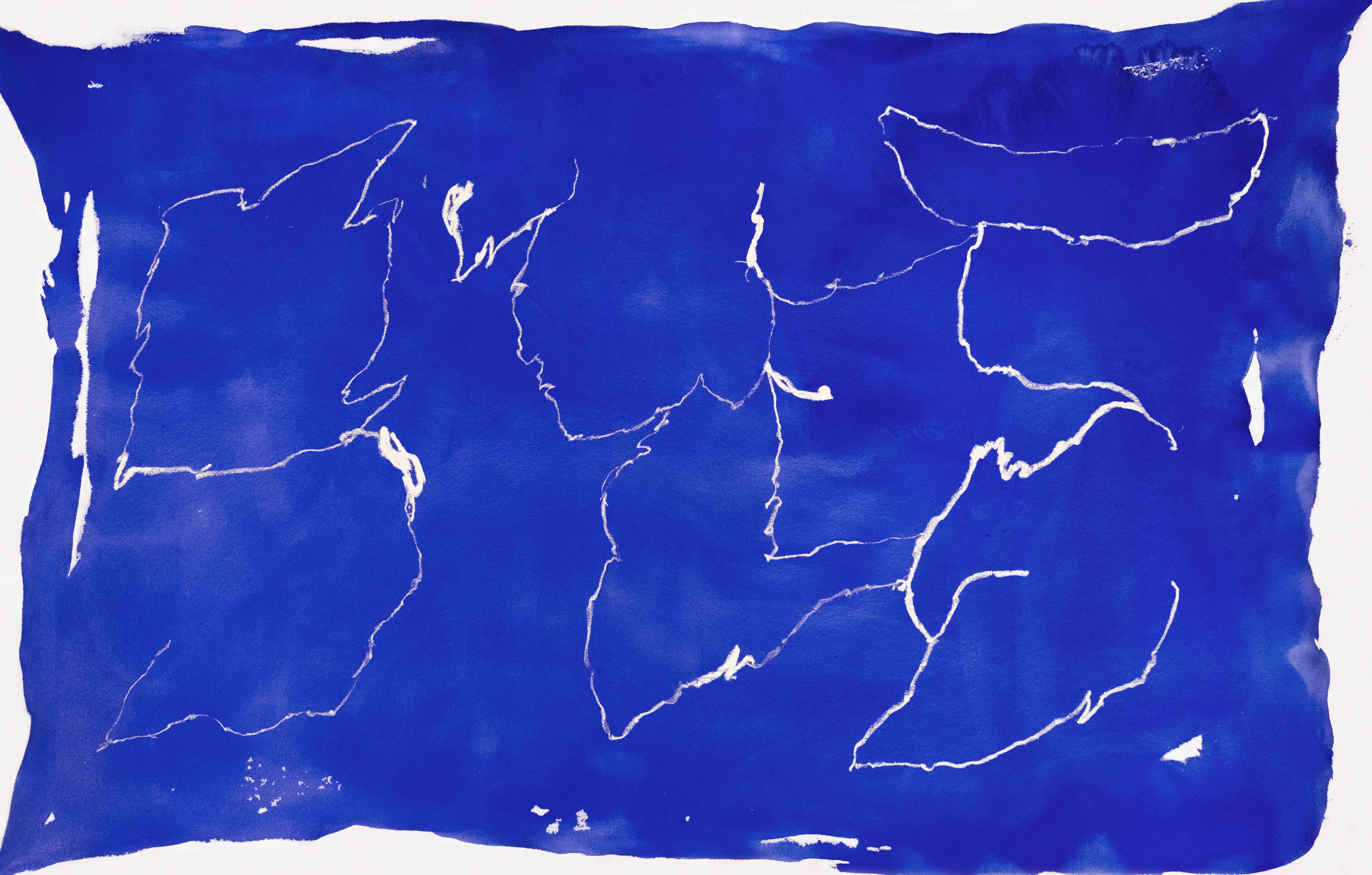 2023 N°91 116X181 cm Pigments, encre & huile sur coton