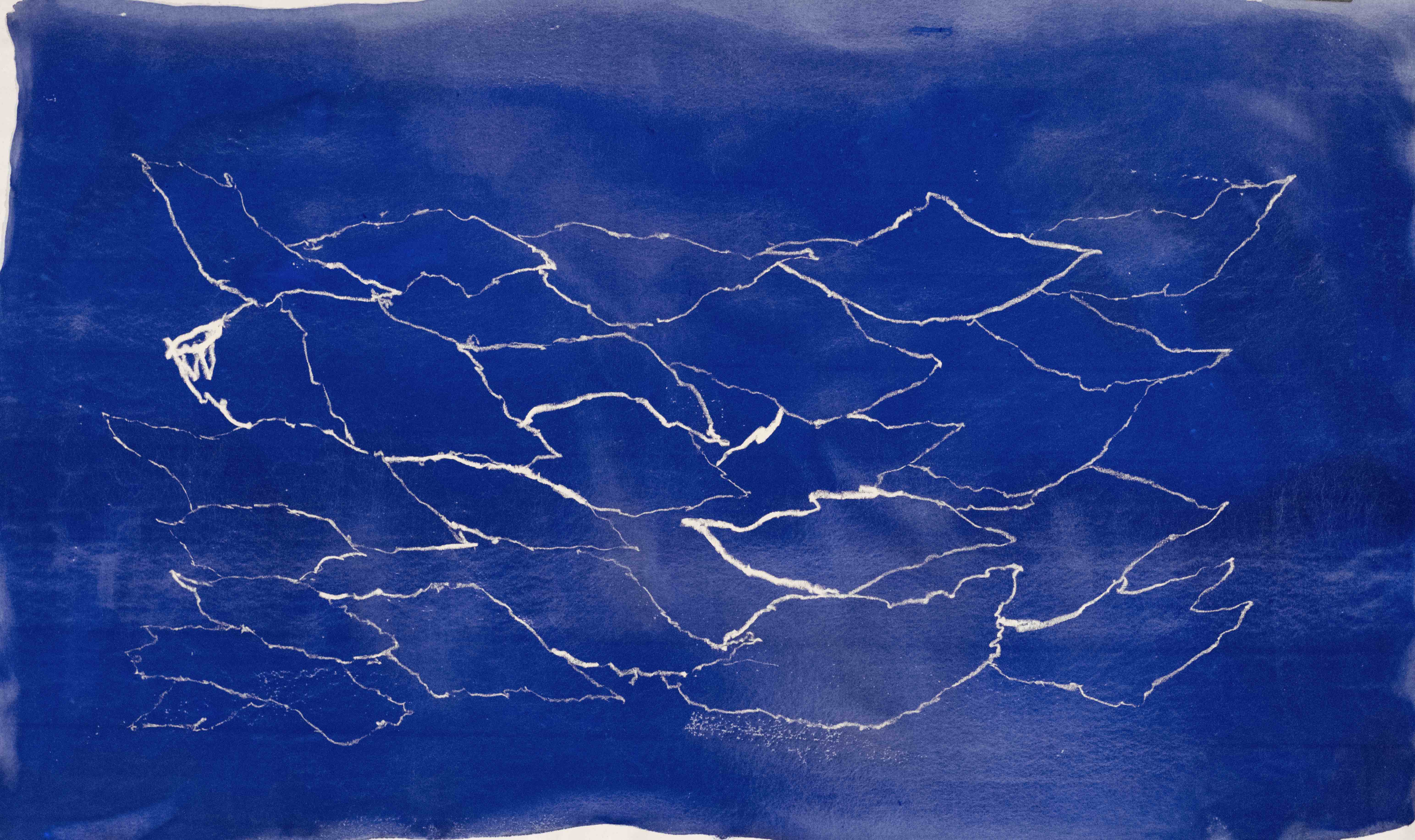 2023 N°92 83X144 cm Pigments, encre & huile sur coton