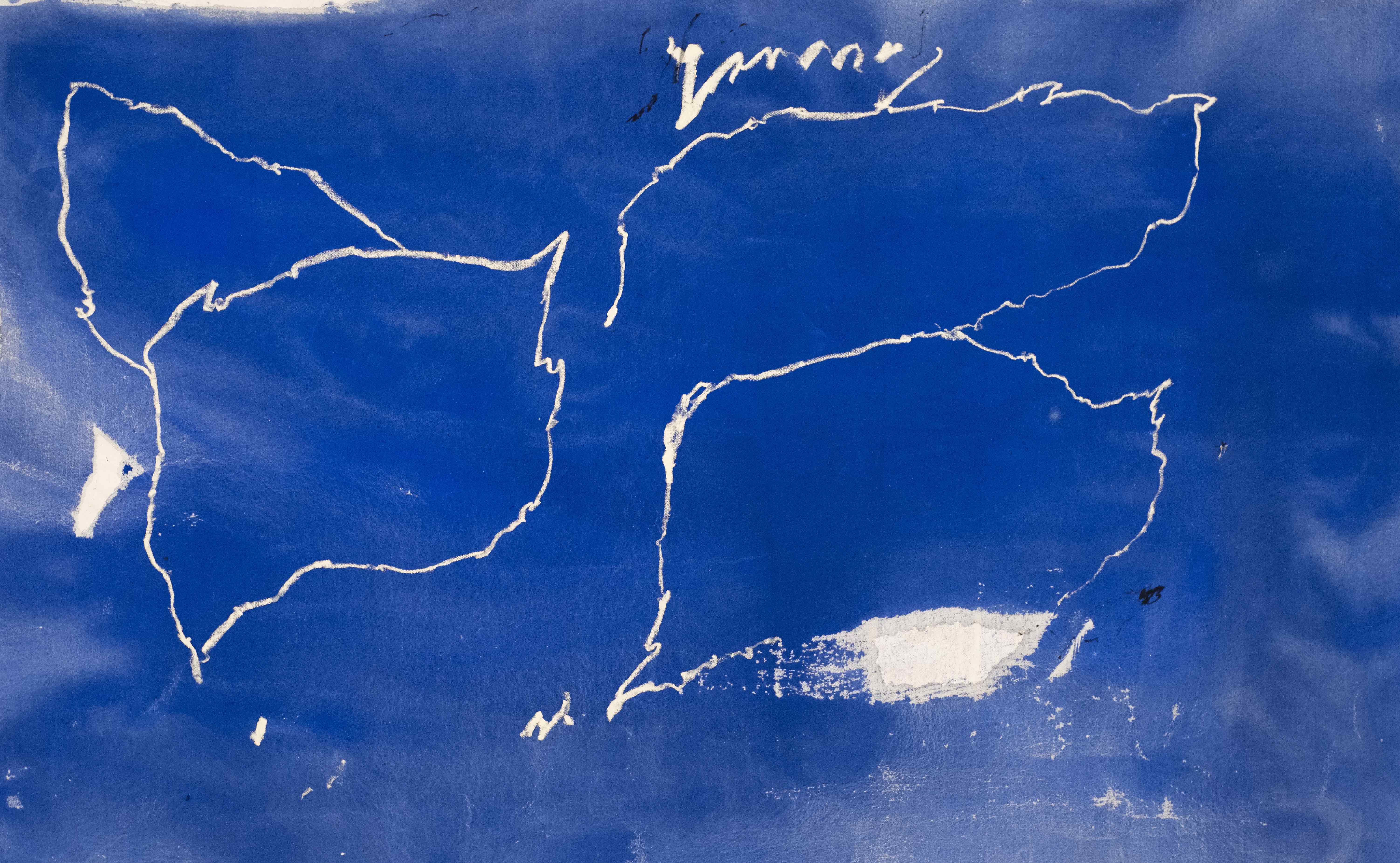 2023 N°93 79X125 cm Pigments, encre & huile sur coton