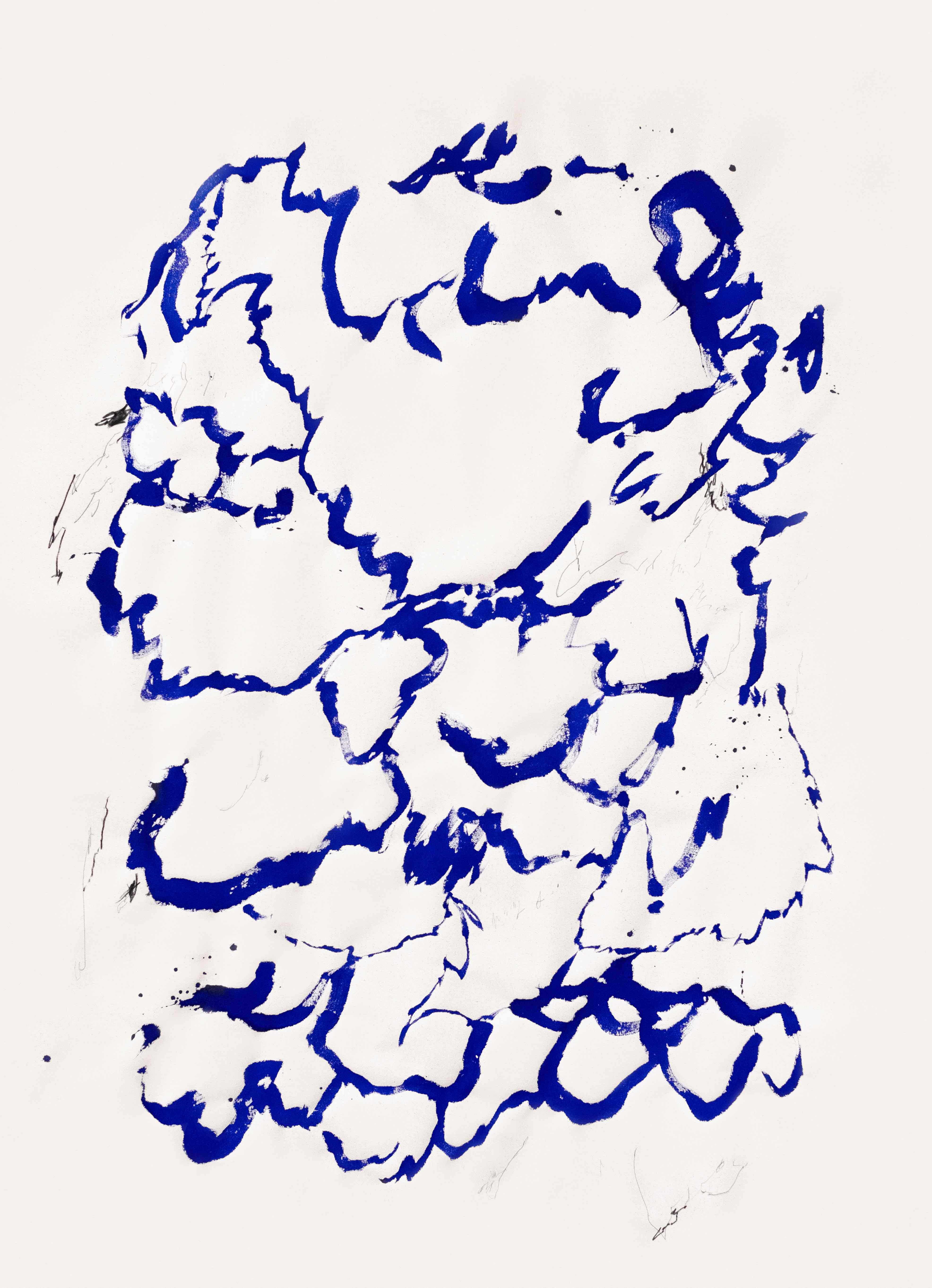 2023 N°97 137X93 cm Pigments, encre & huile sur coton
