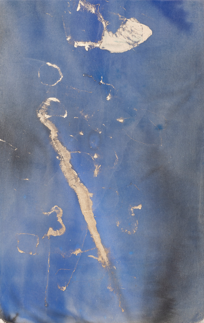 2022 N° 75 Pigments, encre & huile sur coton 120 x 75 cm