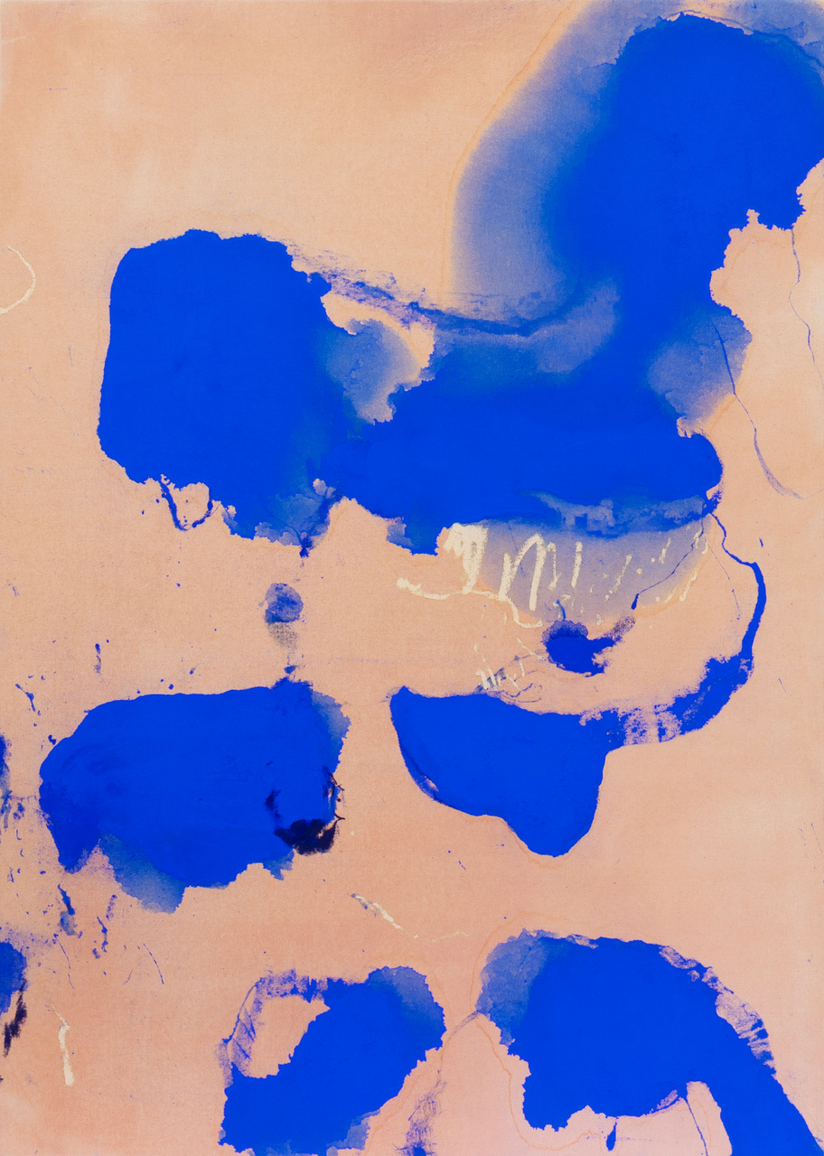 2022 N° 79 Pigments, encre & huile sur coton 90 x 65 cm