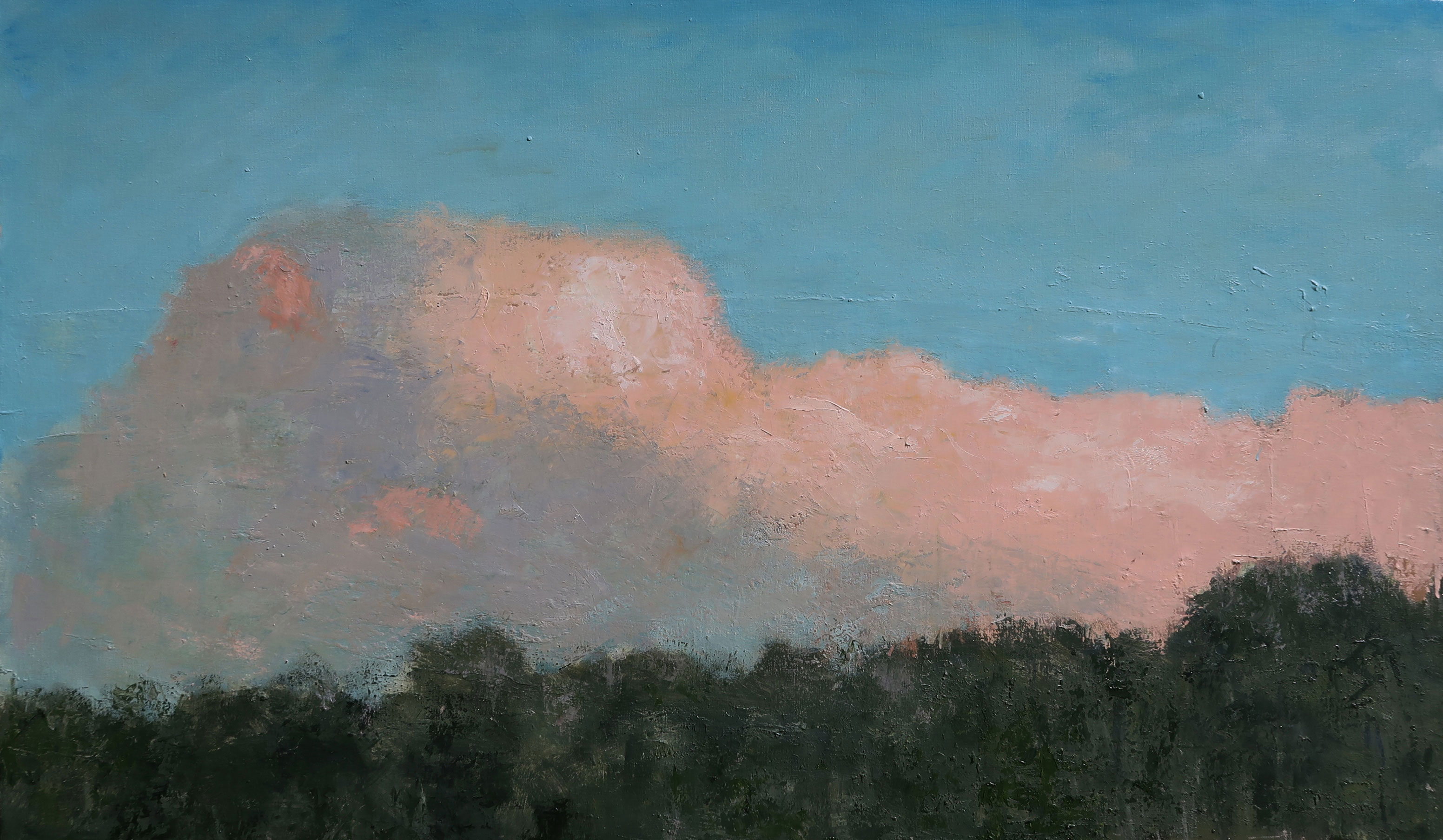 Nuage rose (97x162cm)