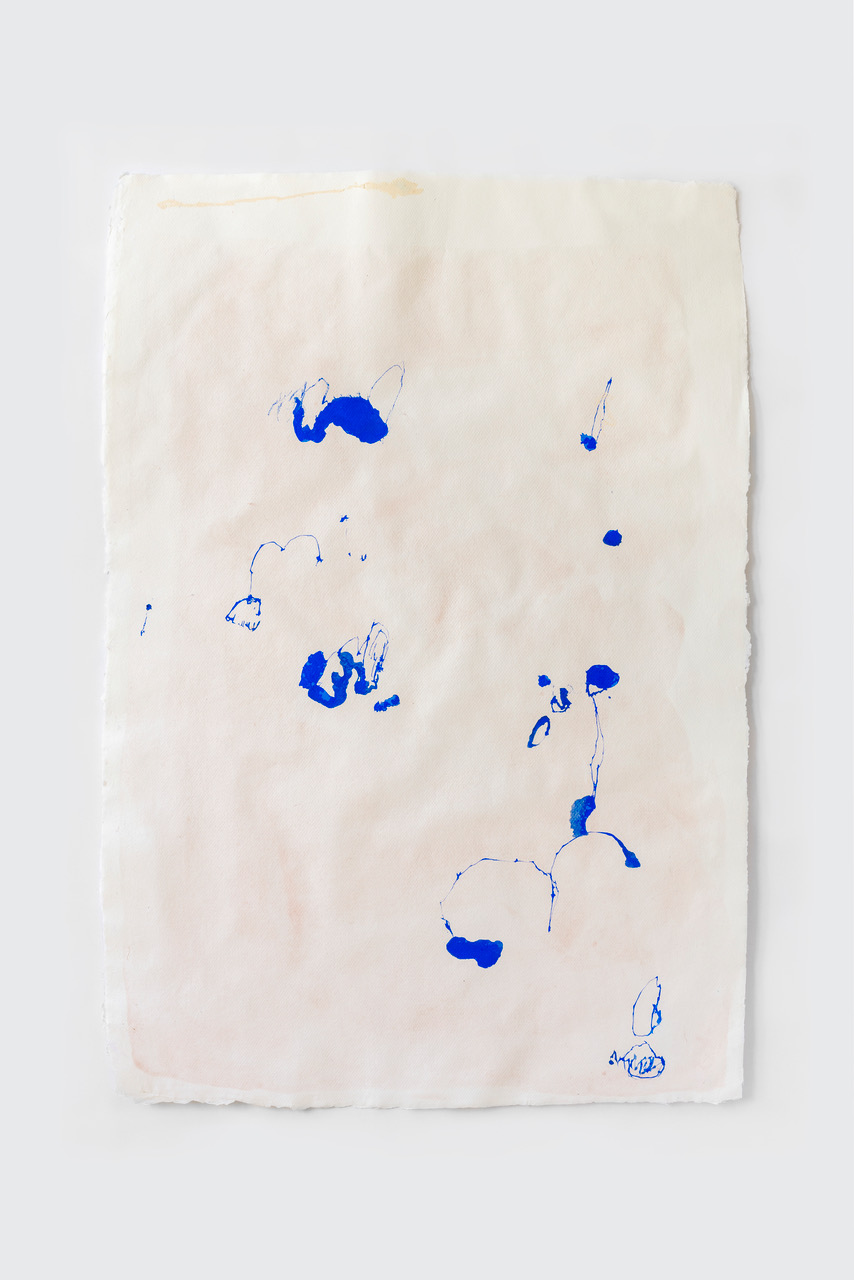 2022 N° S30 Pigments & huile sur papier artisanal 100 x 75 cm