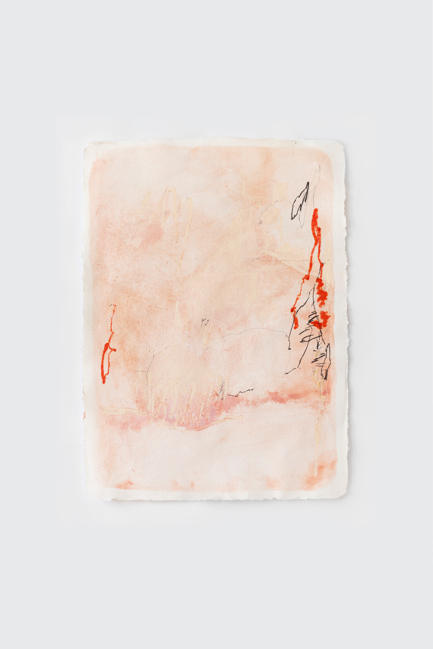 2022 N° S34 Pigments & huile sur papier artisanal 76 x 55 cm