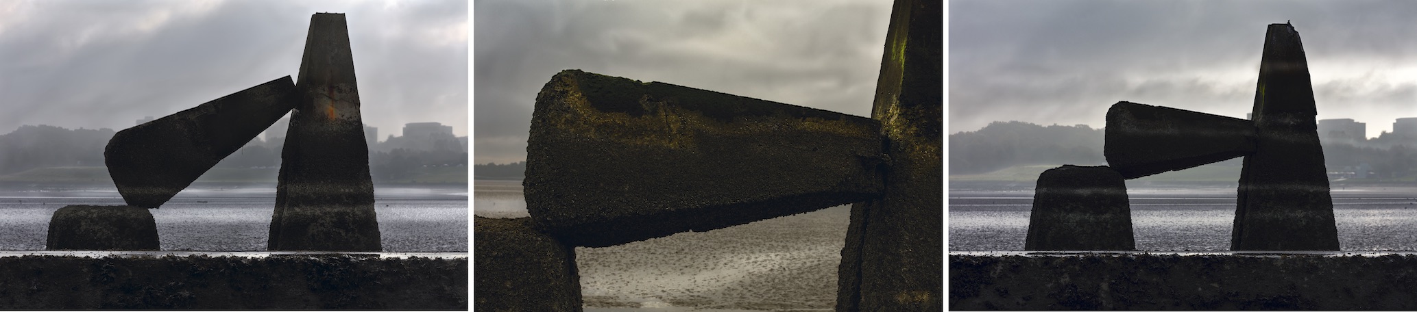 "Territoire 4" - 3 fois 33x55 cm